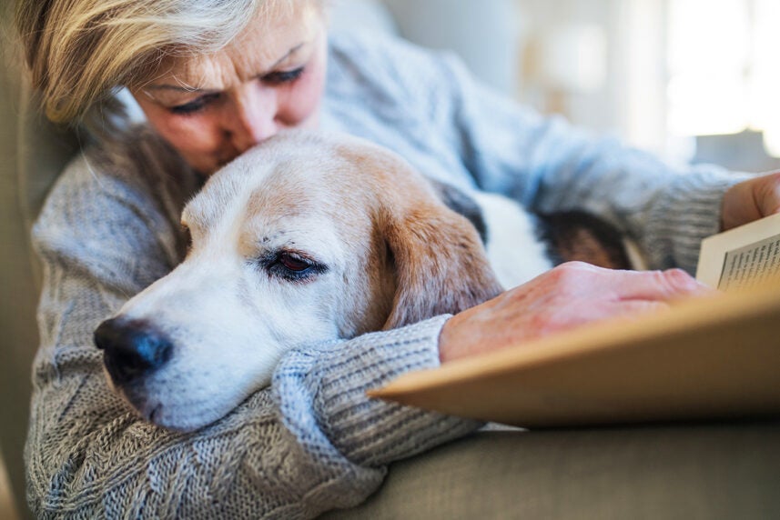 How Can Dogs Improve Your Health