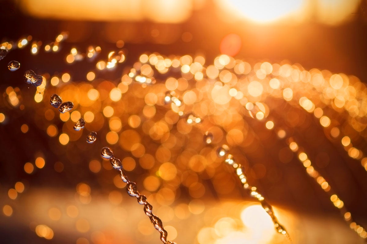 Is there a cause of dark urine? What to know Optum Perks