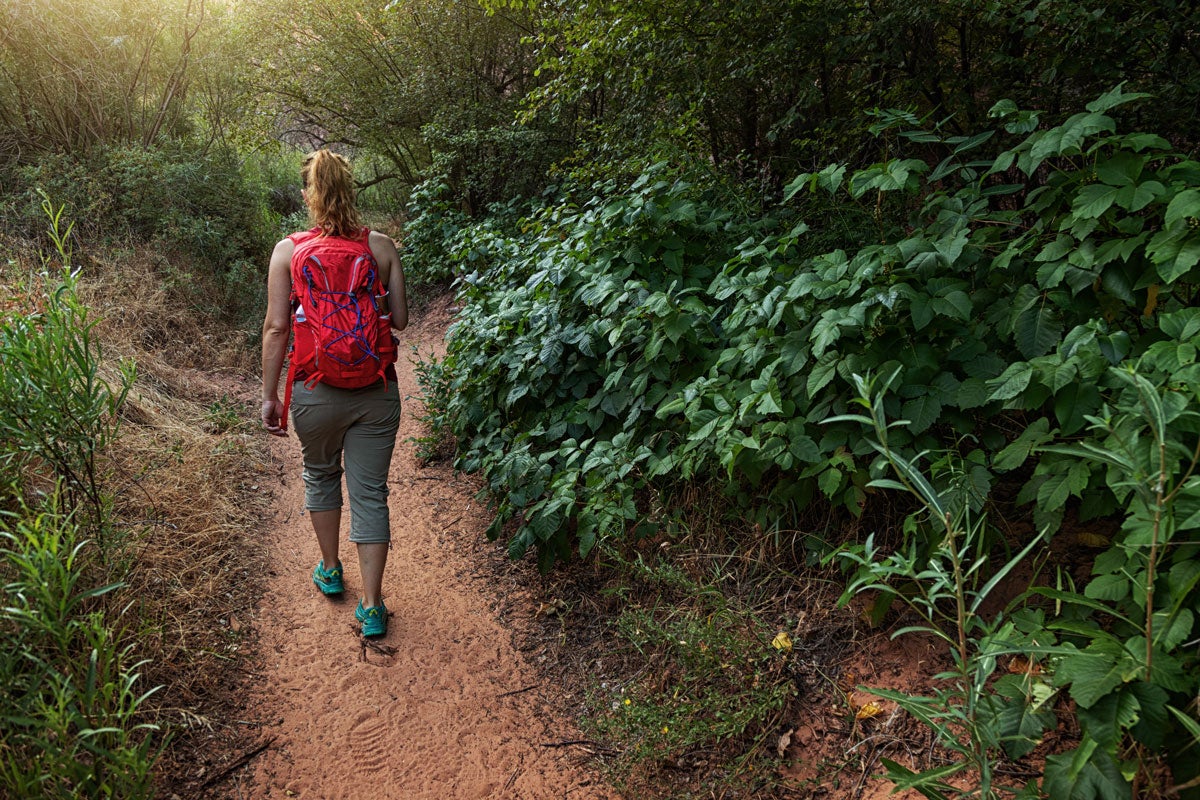 Can you use mupirocin for poison ivy rashes? Optum Perks